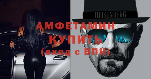 дмт Богданович