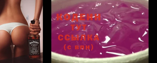 дмт Богданович