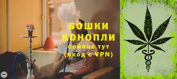 дмт Богданович