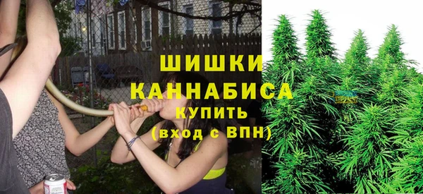 дмт Богданович