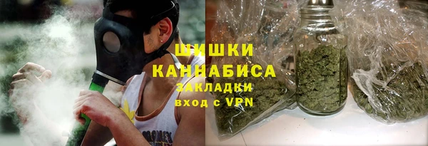 дмт Богданович