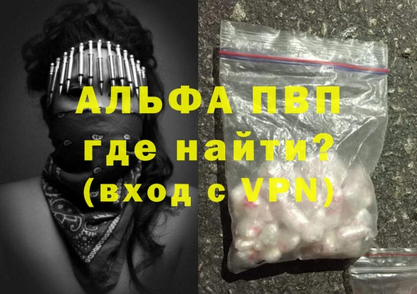 дмт Богданович