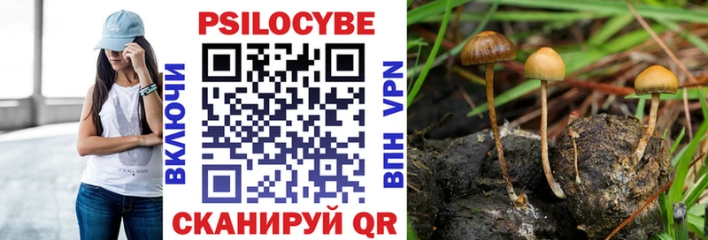 мега как войти  где найти   Крымск  Псилоцибиновые грибы Cubensis 